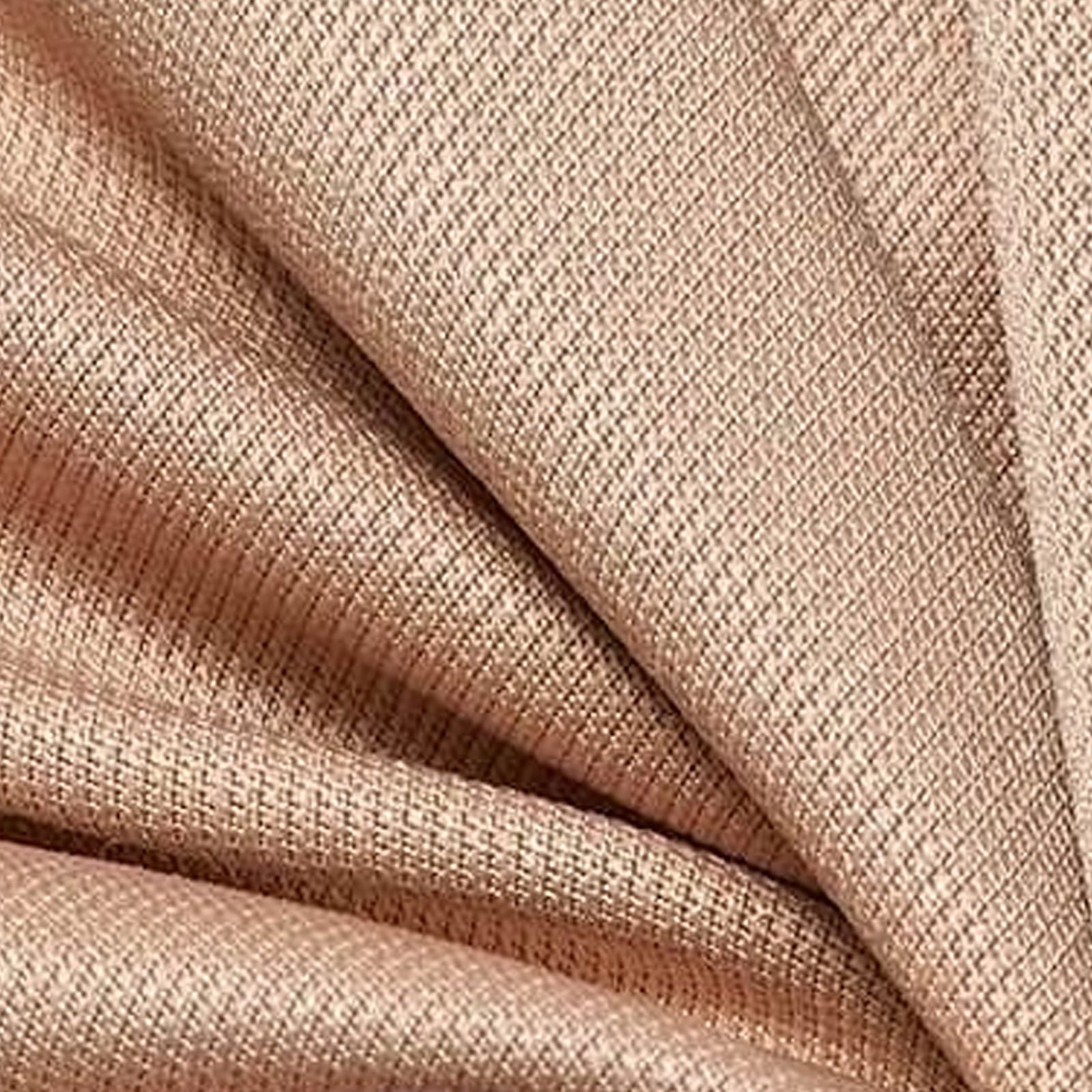 Cotton Jersey