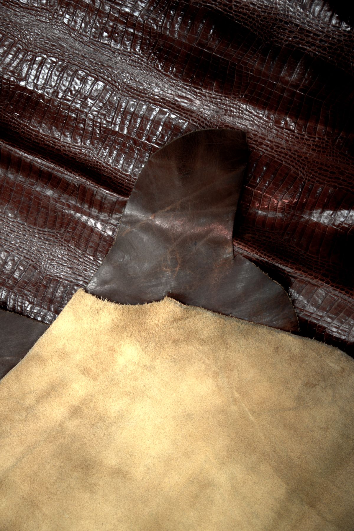 Close-up reference of genuine leather surfaces